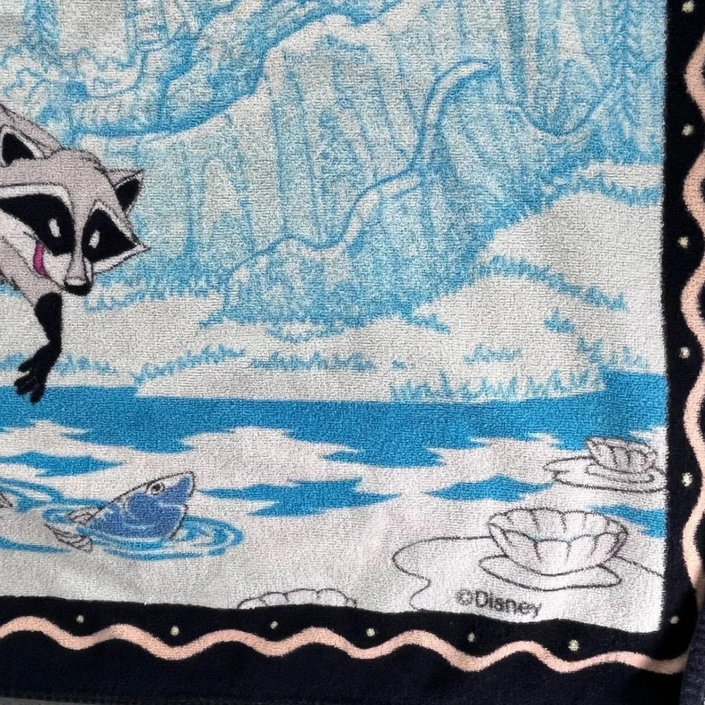 Disney pocahontas beach